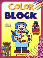 Colorblock maxicolor. Ediz. illustrata libro