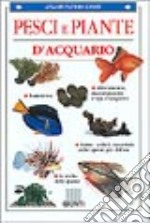 Pesci e piante d'acquario