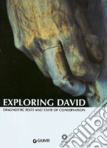 Exploring David. Diagnostic tests and state of conservation libro