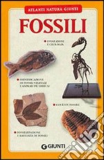 Fossili