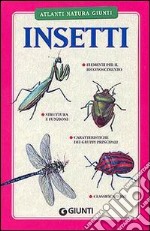 Insetti