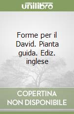Forme per il David. Pianta guida. Ediz. inglese libro