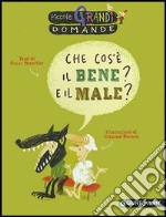 Che cos'è il bene? E il male? libro