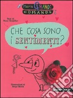 Che cosa sono i sentimenti? libro