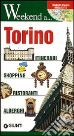 Torino. Itinerari, shopping, ristoranti, alberghi libro