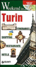 Turin. Itineraries, shopping, restaurants, hotels libro