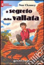 Il segreto della vallata libro