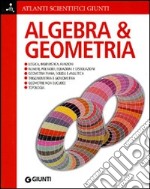 Algebra e geometria