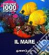 Il mare libro