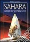 Sahara. Giardino sconosciuto libro