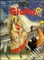 Giotto libro