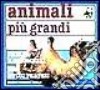 Animali più grandi libro