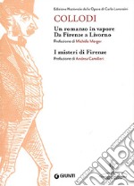 Un Romanzo in vapore. Da Firenze a Livorno-I misteri di Firenze libro