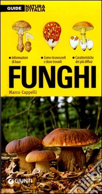 Funghi