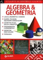 Algebra e geometria