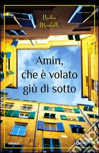 Amin, che è volato giù di sotto libro