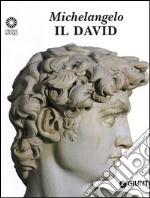 Michelangelo. Il David libro