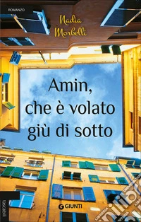 Amin, che è volato giù di sotto libro