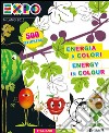 Expo. Energia e colori. Con adesivi. Ediz. italiana e inglese libro