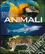 Grande dizionario illustrato degli animali libro