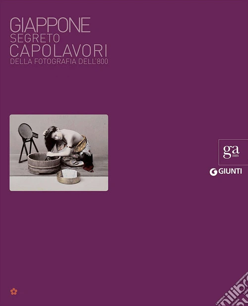Giappone segreto. Ediz. illustrata