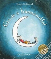 Grazie e buonanotte!