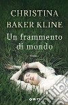 Un frammento di mondo libro