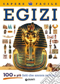 Egizi. 100 e più fatti che ancora non sai!  libro