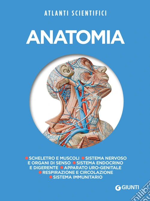 Anatomia