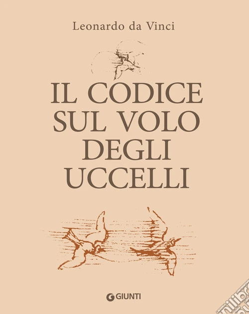 Il codice sul volo degli uccelli. Ediz. a colori