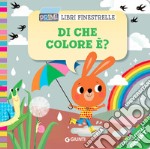 Di che colore è? Primi libri finestrelle. Ediz. a colori libro