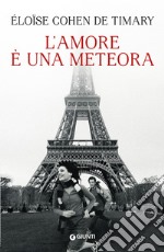 L'amore è una meteora libro