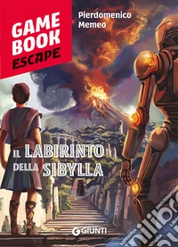 Il labirinto della Sibylla libro
