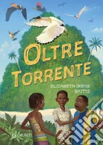 Oltre il torrente libro