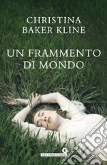 Un frammento di mondo libro