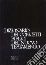 Dizionario dei concetti biblici del Nuovo Testamento libro