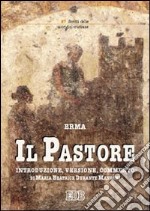 Il pastore libro