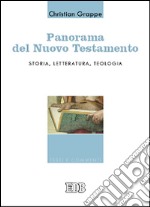 Panorama del Nuovo Testamento. Storia, letteratura, teologia libro