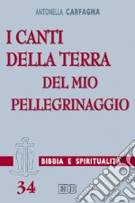 I canti della terra del mio pellegrinaggio. (Sal 119,54)