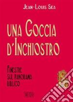 Una goccia d'inchiostro. Finestre sul panorama biblico libro