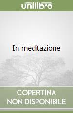 In meditazione libro