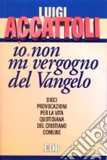 «Io non mi vergogno del Vangelo» (Romani 1, 16). Dieci provocazioni per la vita quotidiana del cristiano comune libro