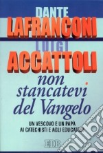 Non stancatevi del Vangelo. Un vescovo e un papà ai catechisti e agli educatori libro