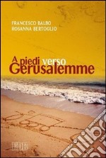 A piedi verso Gerusalemme libro