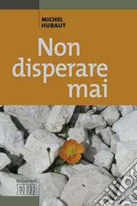 Non disperare mai libro