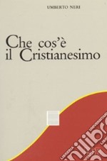 Che cos'è il cristianesimo libro