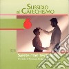 Sarete miei testimoni. Prima media. Vol. 6: Sussidio al catechismo. libro