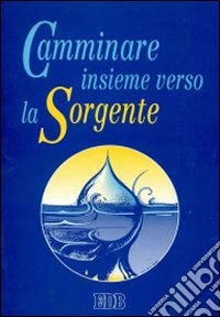 Camminare insieme verso la sorgente. Il catechista segue la 'Pedagogia' dell'itinerario libro