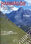 Hammagôr. Per un cammino di conversione. 12 incontri di preghiera per un'esperienza di campeggio e di vita di gruppo libro