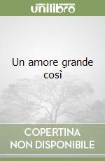 Un amore grande così libro